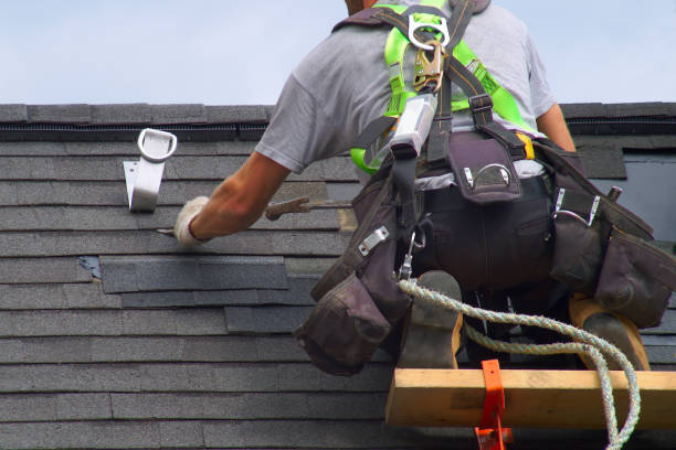 Best Roof Maintenance Services  in Janesville, CA